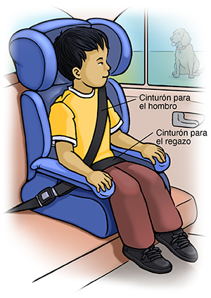 Niño sentado de manera segura en un asiento elevador en el asiento trasero de un automóvil.